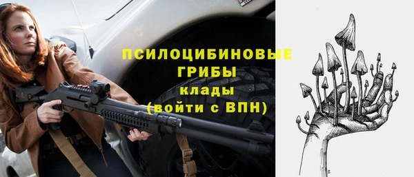 индика Армянск