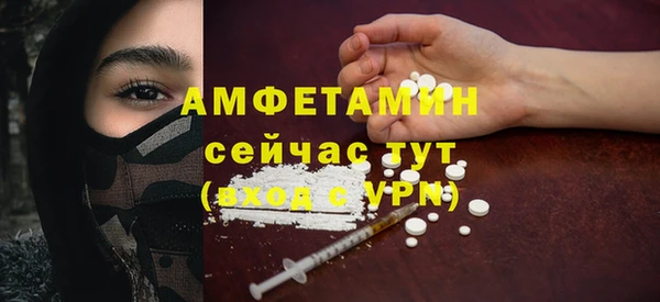 индика Армянск