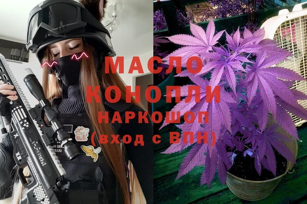 индика Армянск