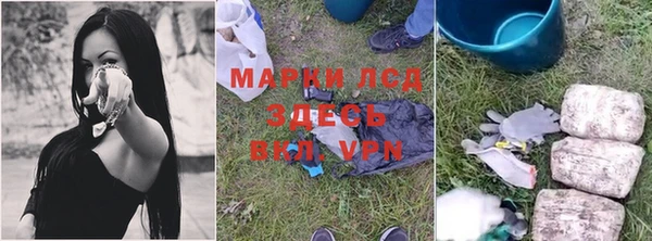 индика Армянск
