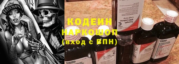 индика Армянск