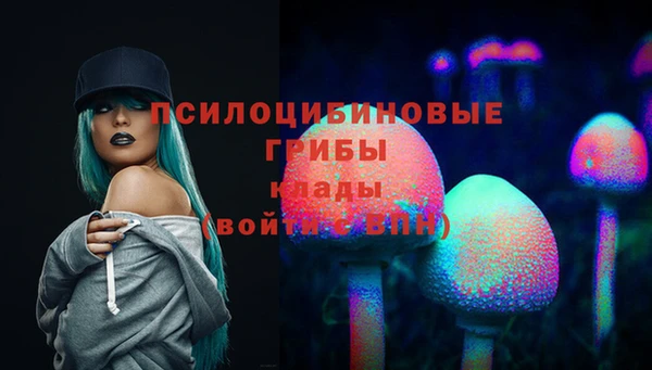 синтетический гашиш Арсеньев