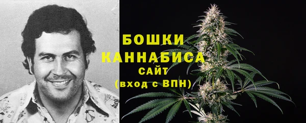 крисы Аркадак
